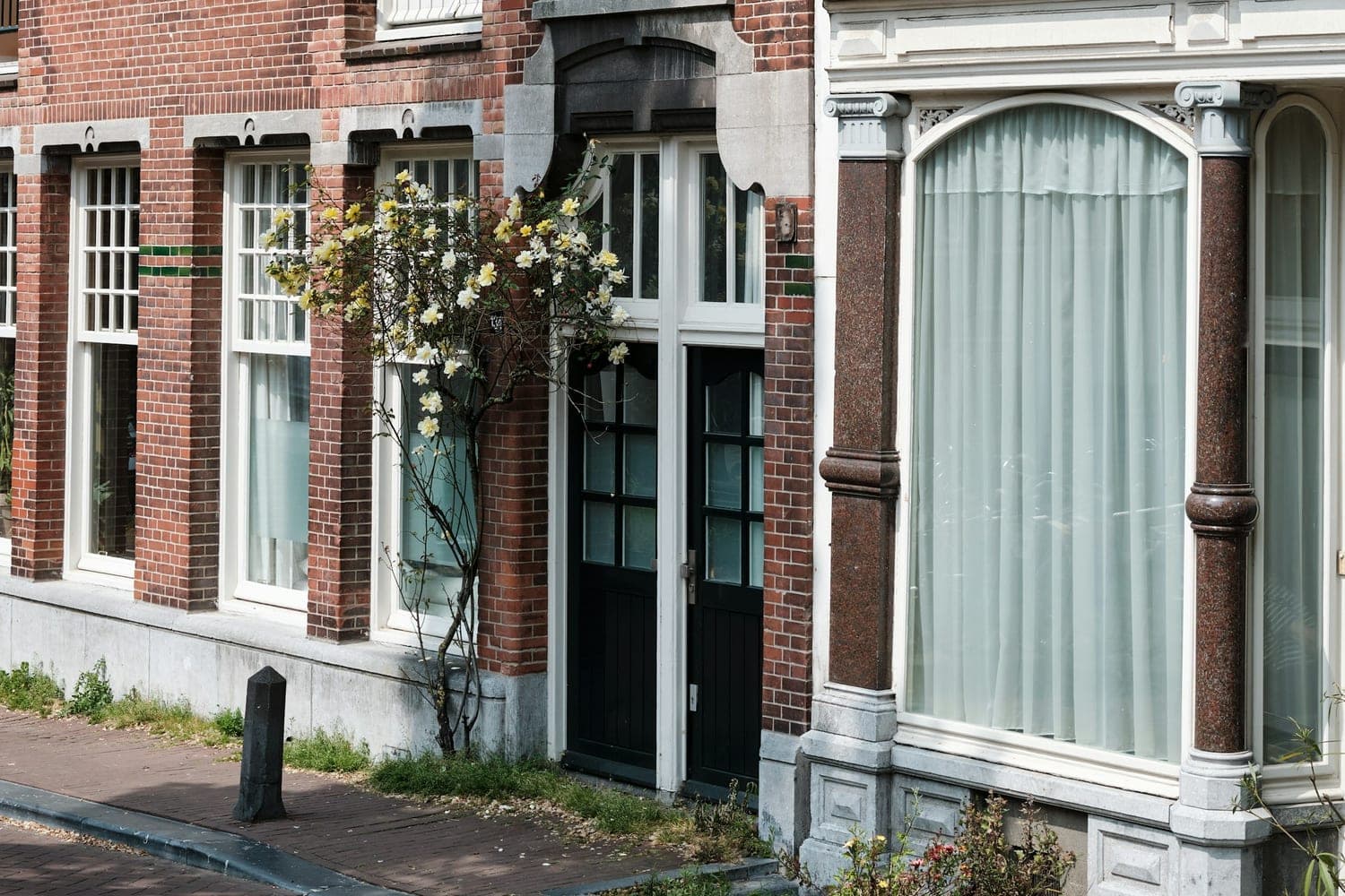 Een Amsterdamse voordeur in een bakstenen gevel, met een bloeiende klimroos ernaast.